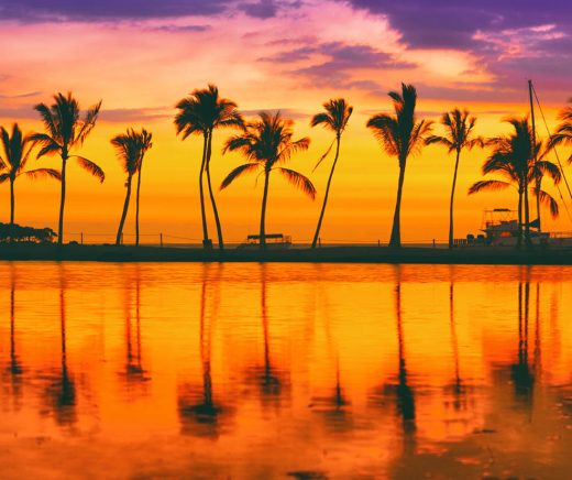 Paradise beach travel destination on Caribbean island, summer vacation dream background of palm trees silhouette reflection on calm water sea panorama.