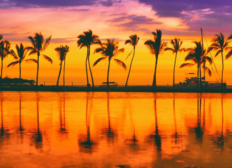 Paradise beach travel destination on Caribbean island, summer vacation dream background of palm trees silhouette reflection on calm water sea panorama.