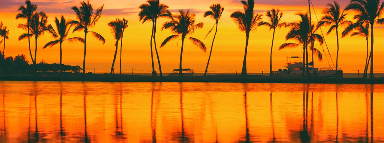 Paradise beach travel destination on Caribbean island, summer vacation dream background of palm trees silhouette reflection on calm water sea panorama.